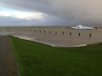 hafen-hochwasser/IMG_1132.jpg