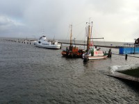 hafen-hochwasser/IMG_1208.jpg