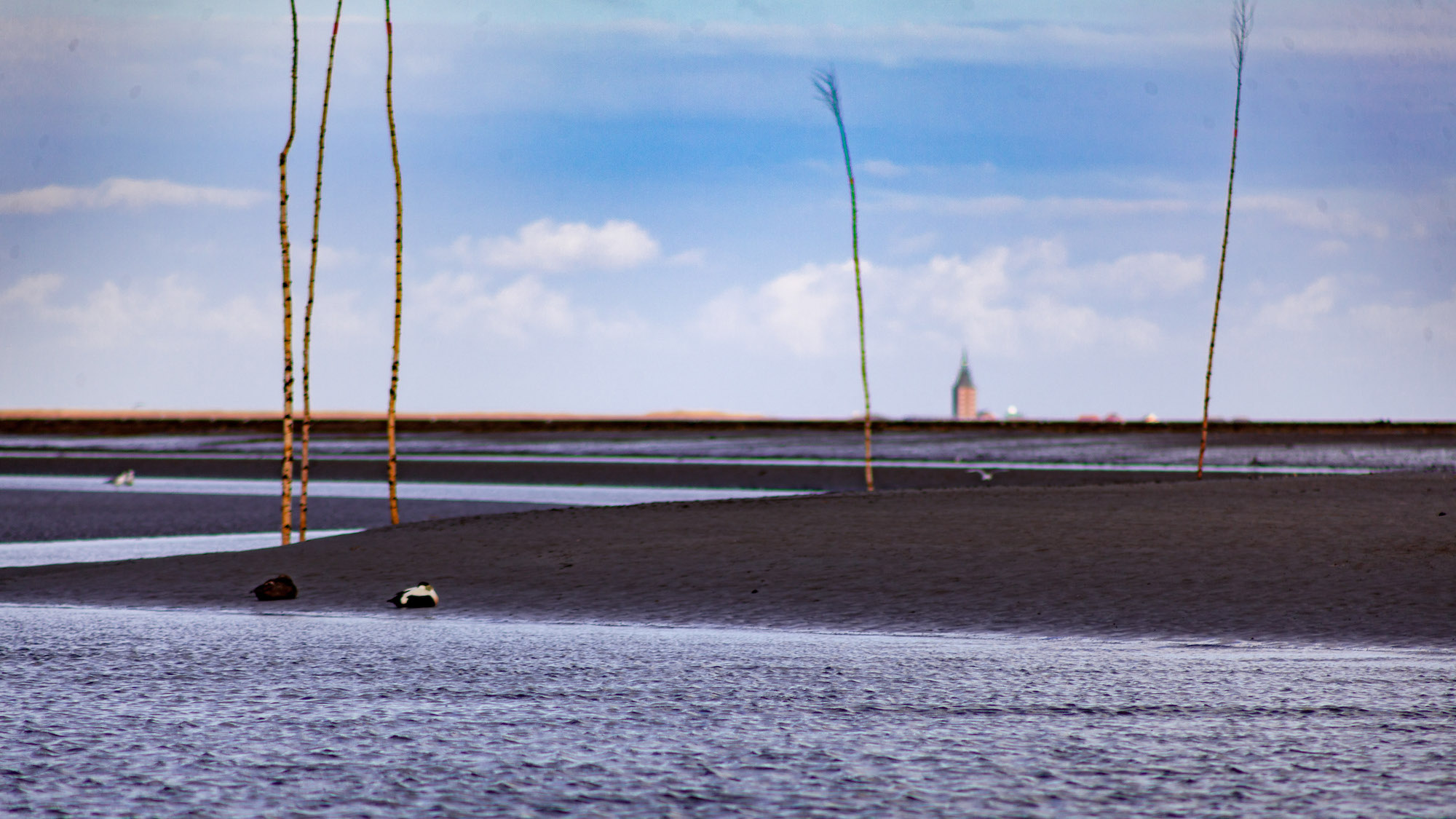 Nationalpark Niedersächsisches Wattenmeer 